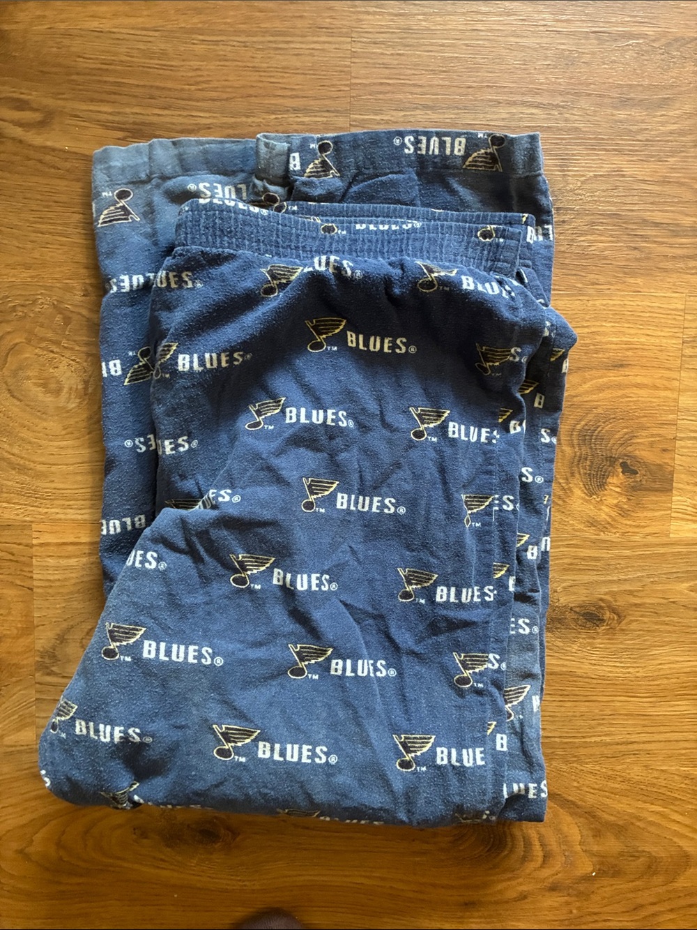 NFL Men's Navy Blue St. Louis Blues Logo Jogger Pants